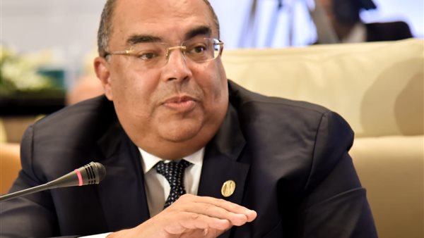 الدكتور محمود محيي