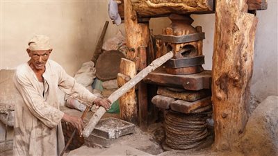 تعود إلى 210 أعوام.. إعادة تشغيل معصرة لزيوت الخس والسمسم بالأقصر 
