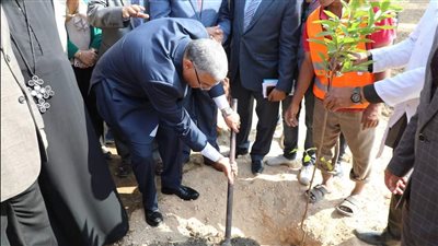 توزيع 10 آلاف شجرة على القرى لتشجير الطرق الرئيسية والصحراوية بسمالوط