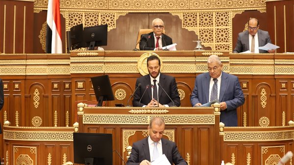 مجلس الشيوخ 