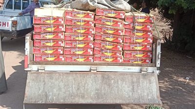 ضبط أسماك غير صالحة للاستهلاك الآدمي وسكر وأرز في حملة تموينية بالغربية 