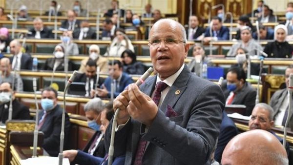 النائب السيد شمس