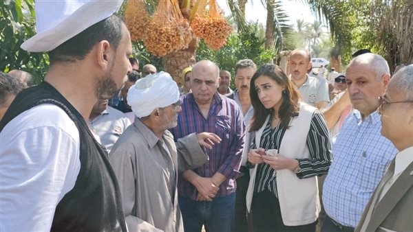 موسم جنى ثمار البلح