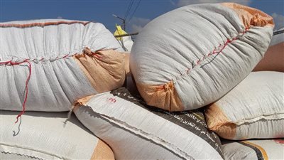 ضبط 15 طن أرز شعير قبل بيعها في السوق السوداء بالغربية 