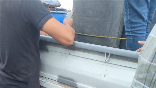 تحرير محاضر لعربات