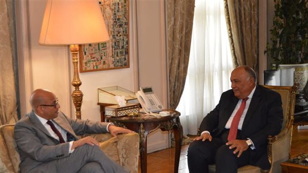 سامح شكري وزير الخارجية