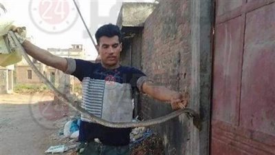 مشادة كلامية تطورت لقتله.. ننشر التحريات في واقعة قتل عاطل لشقيقه التوأم بكفر الشيخ