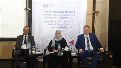 خبراء من العمل الدولية يشيدون بقرارات القوى العاملة بشأن تعزيز علاقات العمل في مصر