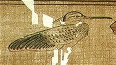 عُرف بـ الطائر الذي خلق نفسه.. من هو معبود البنو في مصر القديمة ؟