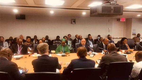 الدكتور محمد معيط