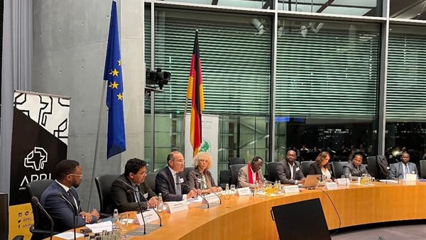 السفير المصري في