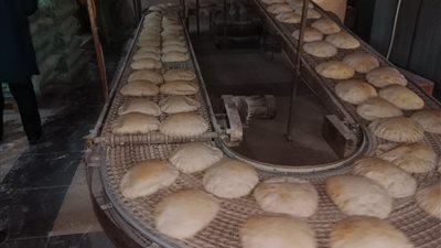 ضبط  82 مخالفة تموينية في الدقهلية