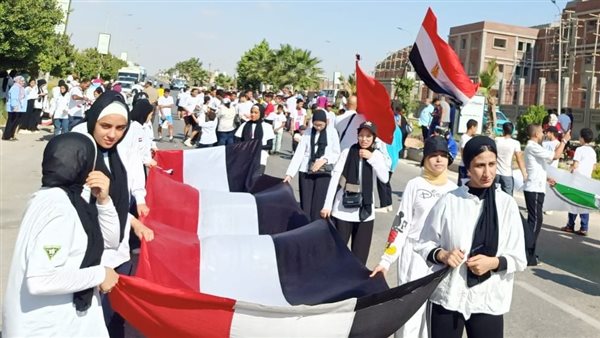 علم مصر ـ إرشيفية