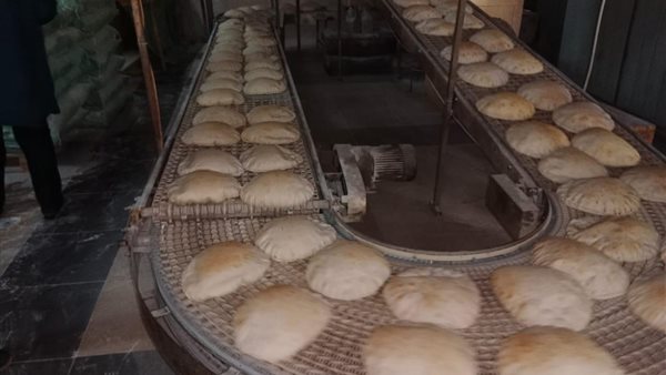 جانب من الحملة 