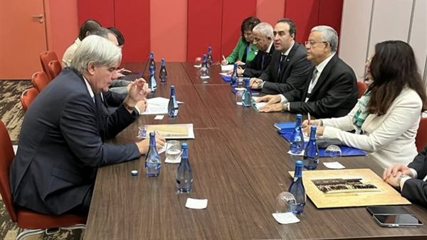 جانب من لقاء المستشار