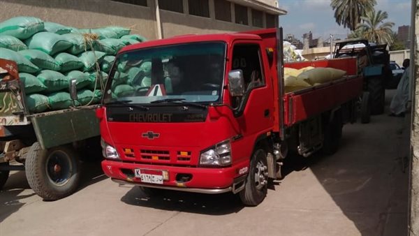 توريد الأرز - صورة