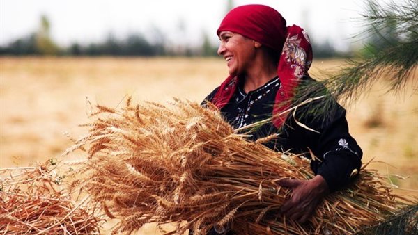 المرأة الريفية
