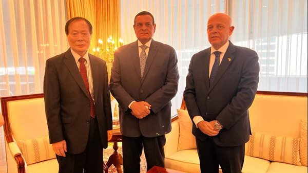 وزير التنمية المحلية