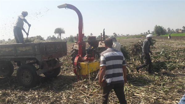 مواجهة ظاهرة الحرق