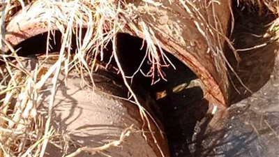 كسر مفاجئ بالخط الرئيسي يتسبب في انقطاع المياه عن 4 قرى بقنا | فيديو