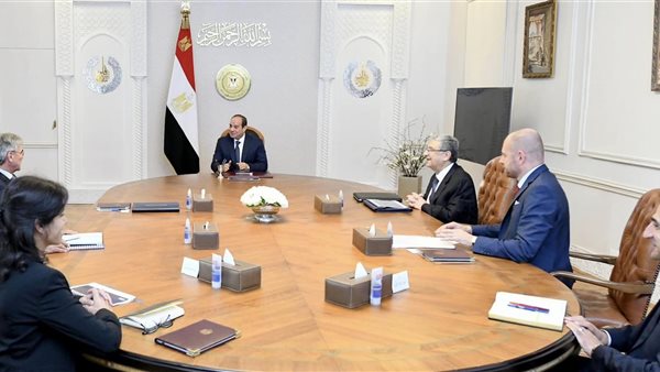 لقاء السيسي ومسئولي