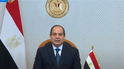 الرئيس السيسي: 19 جامعة مصرية تتعاون مع المؤسسة الفرانكوفونية 