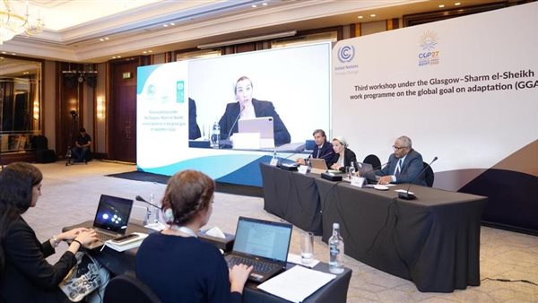  مصر تحتضن ورشة العمل