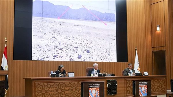 محافظ جنوب سيناء