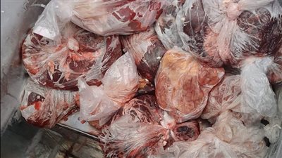 ضبط 2 طن لحوم مجمدة وغير صالحة للاستهلاك الآدمي بالقليوبية 