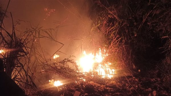 حريق مجموعة من الهيش