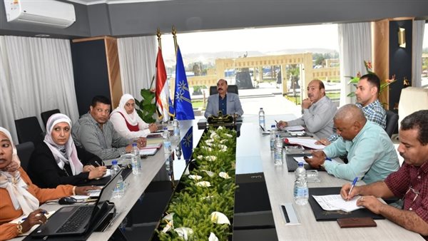 محافظ أسوان