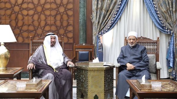 شيخ الأزهر والدكتور