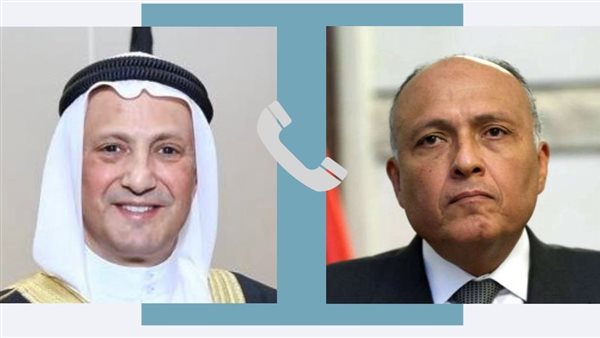 شكري ونظيره الكويتي