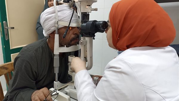 جامعة المنيا