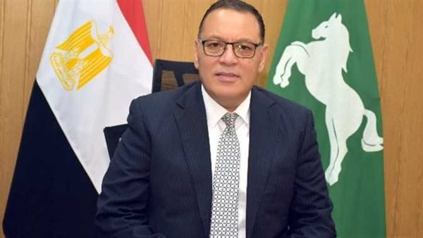 محافظ الشرقية