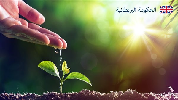 زراعة النباتات 