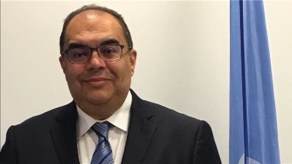 الدكتور محمود محيي