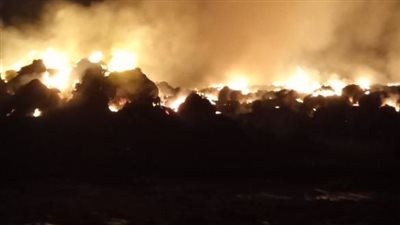 السيطرة على حريق شب بمحصول للأرز بالدقهلية