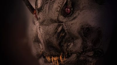 معجزات تحت أقدامنا.. صورة مجهرية لوجه نملة تكشف روائع الخالق