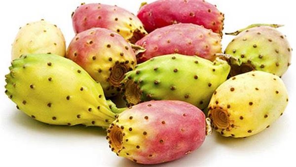  فوائد التين الشوكي