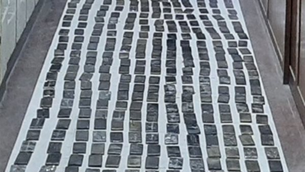 جانب من المضبوطات