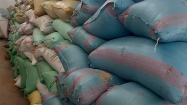 أرز شعير - صورة أرشيفية