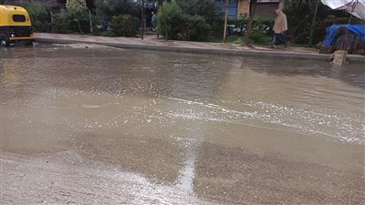 أمطار بنسبة 50%.. تفاصيل حالة الطقس في القاهرة غدا 