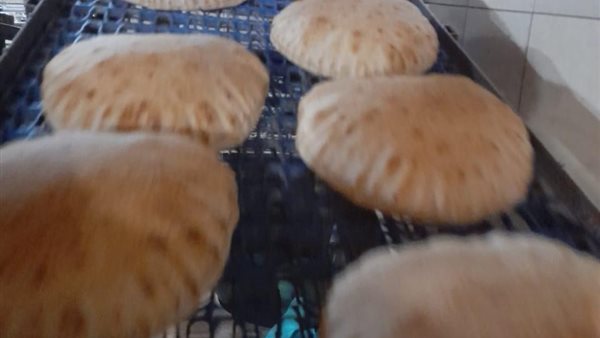 جانب من الحملة 