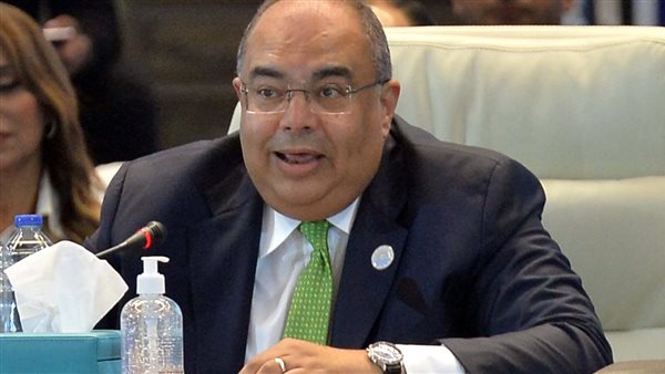 محمود محيي الدين