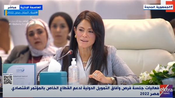 الدكتورة رانيا المشاط