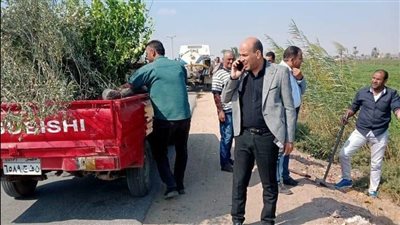 محافظ المنيا يتابع جهود الوحدات المحلية في تنفيذ مبادرة زراعة 100 مليون شجرة