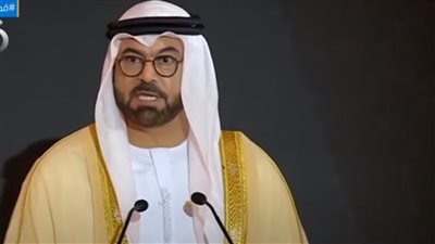 وزير شؤون مجلس الوزراء الإماراتي: مصر القلب النابض للعرب.. والسيسي وبن زايد خير معين للآخر