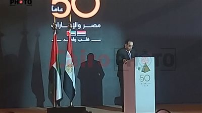 مدبولي: ارتفاع الاستثمارات الإماراتية بمصر لتسجل 4.6 مليار دولار خلال 21-22