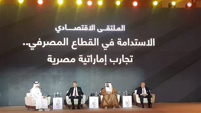 محمد الإتربي: البنوك الإماراتية تمثل 4% من القطاع المصرفي المصري بقيمة 400 مليار جنيه